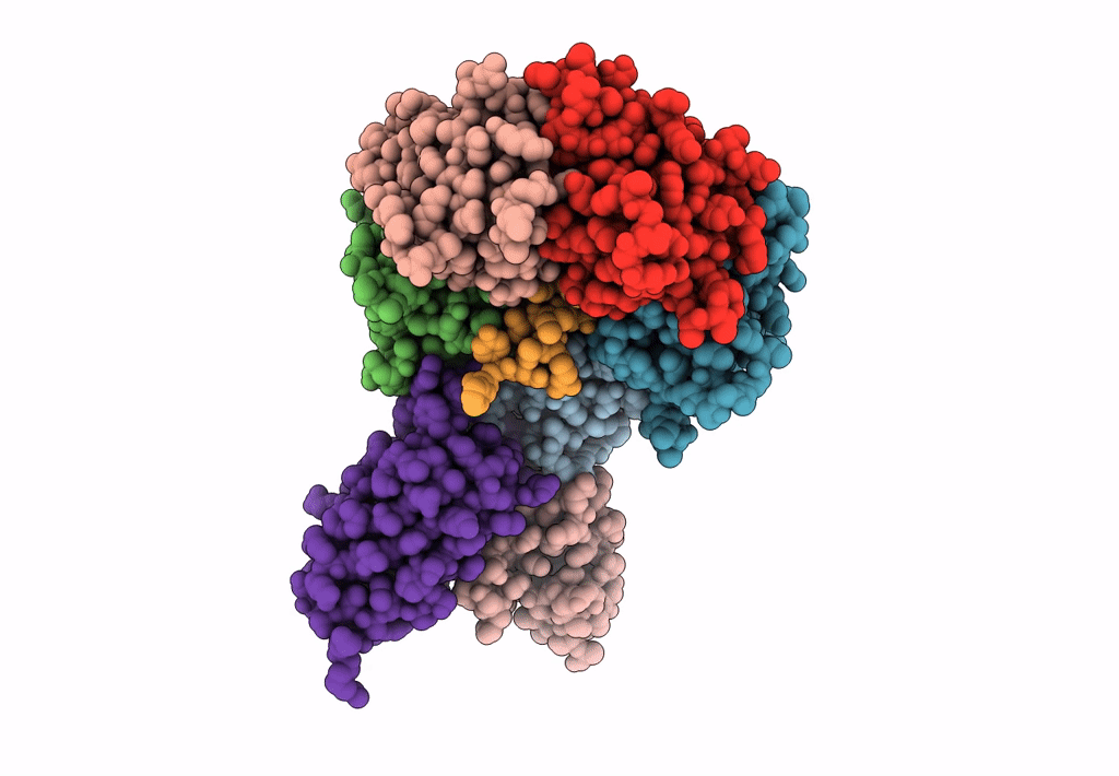 7K7H image