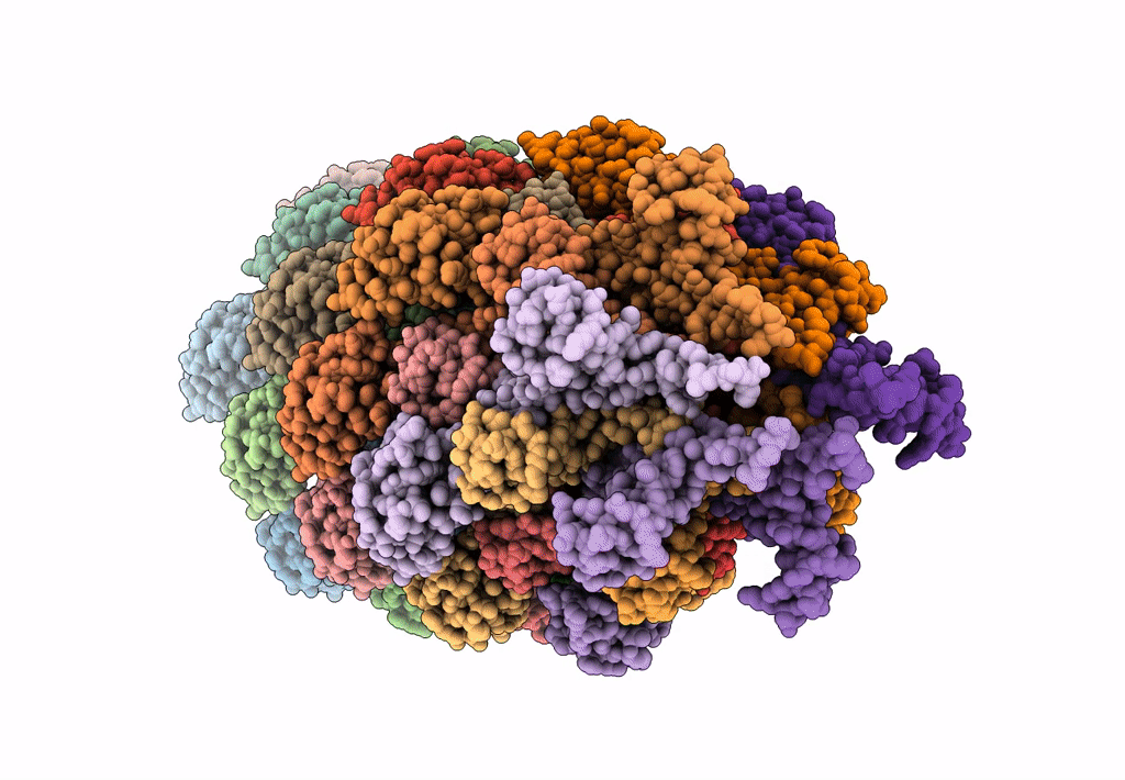 7K7K image