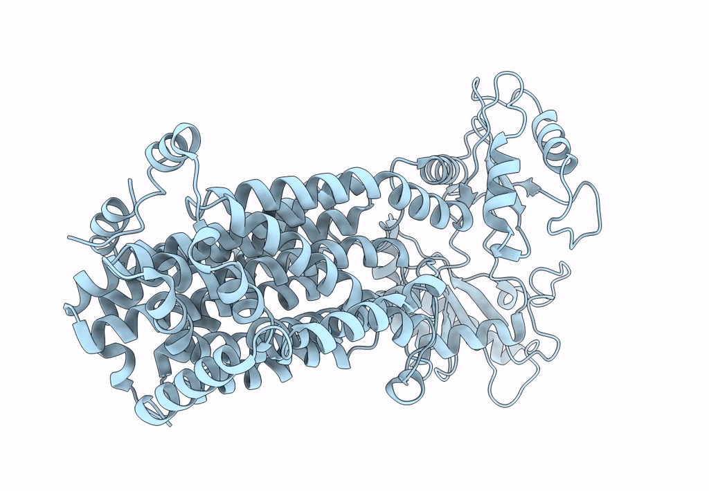 7K8B image