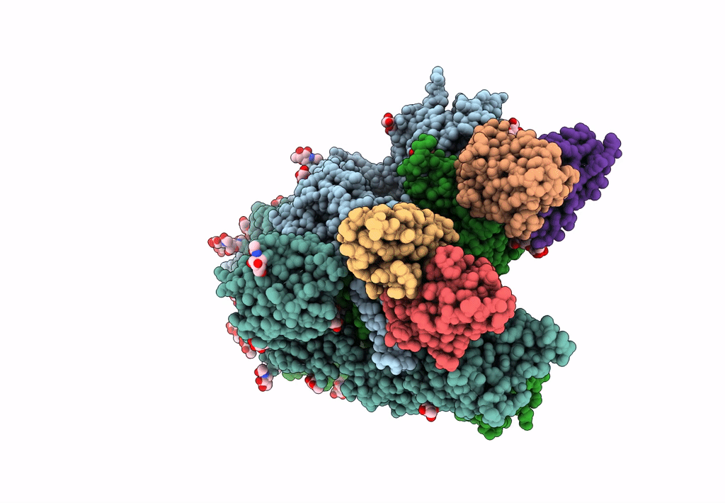 7K8V image