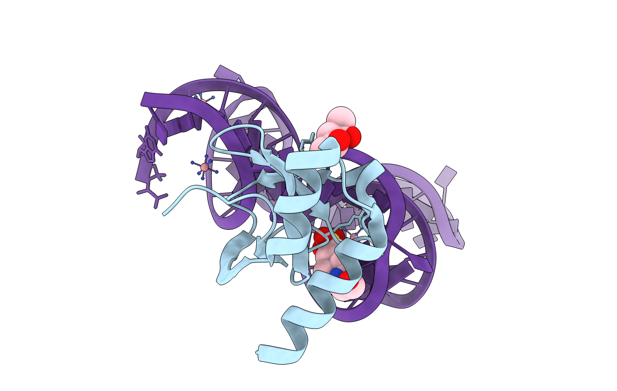 7K9D image