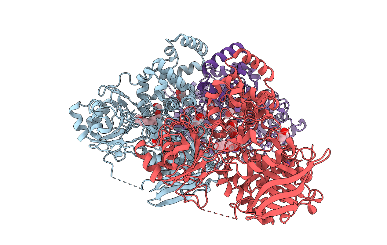 7KAV image