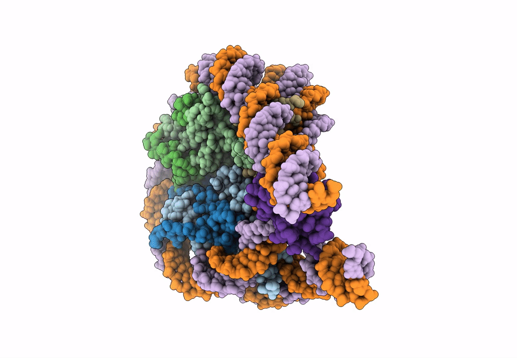 7KBF image