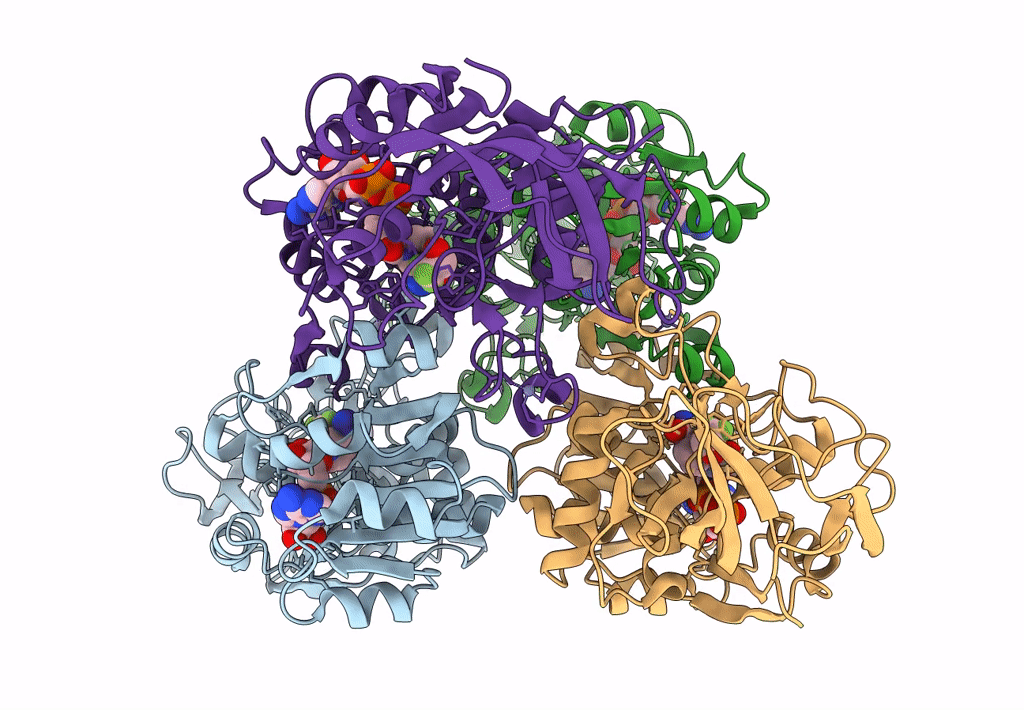 7KCB image