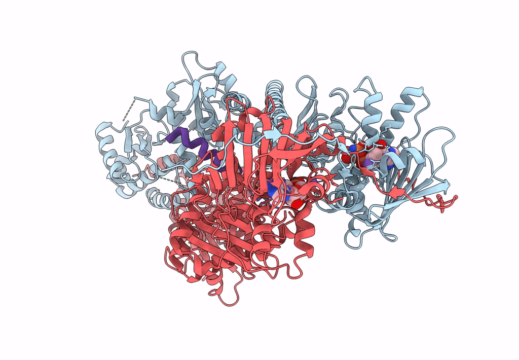 7KCL image