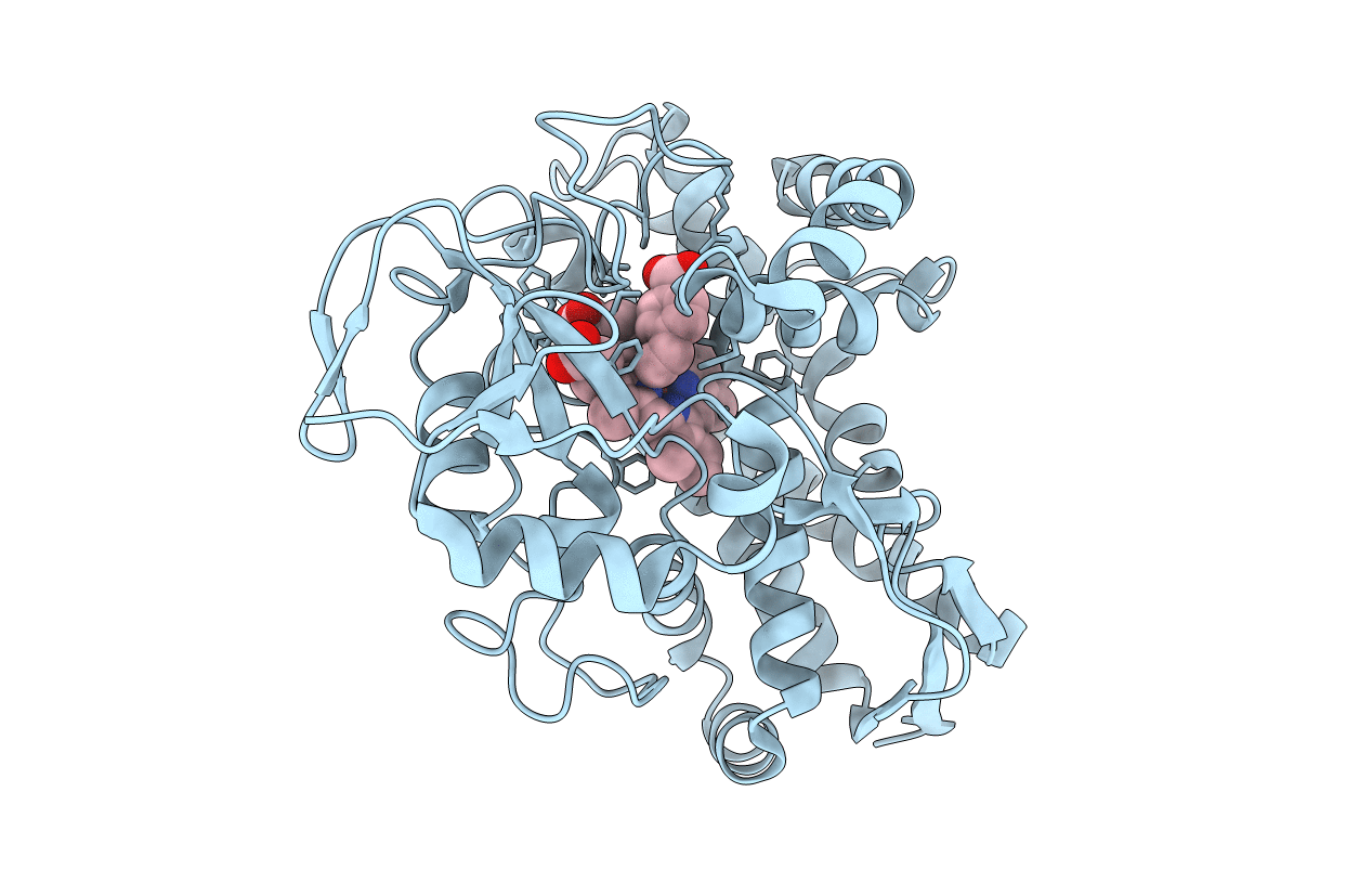 7KCS image