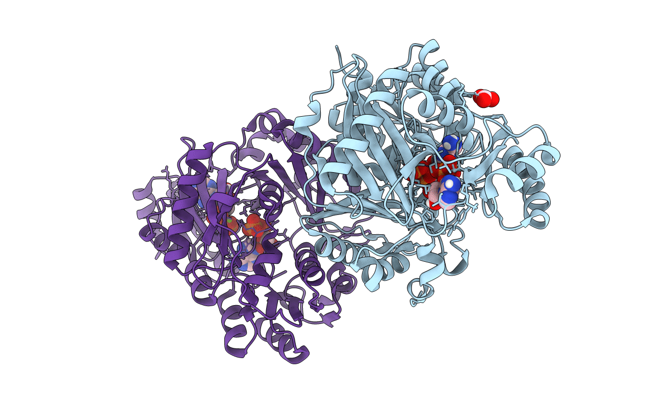 7KCT image