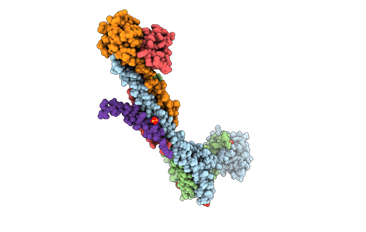 7KDF image