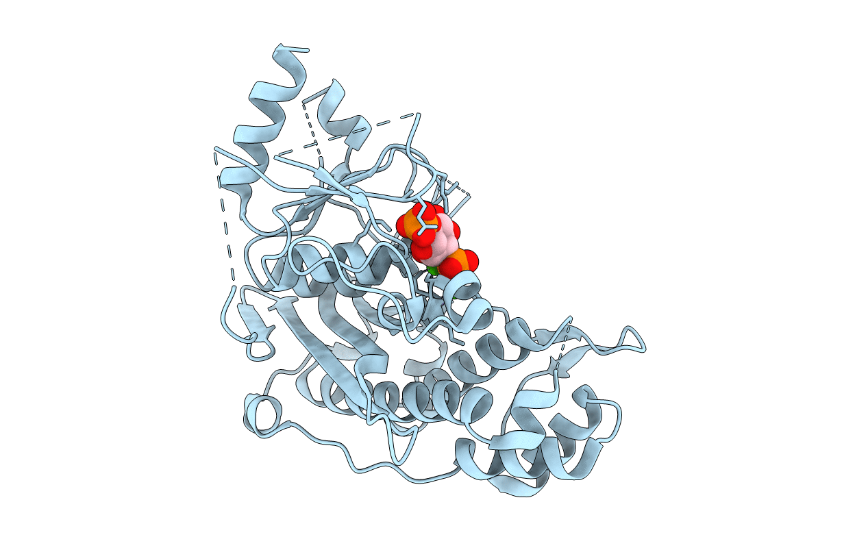 7KIR image