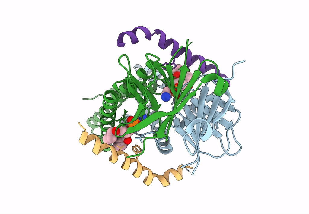 7KJR image