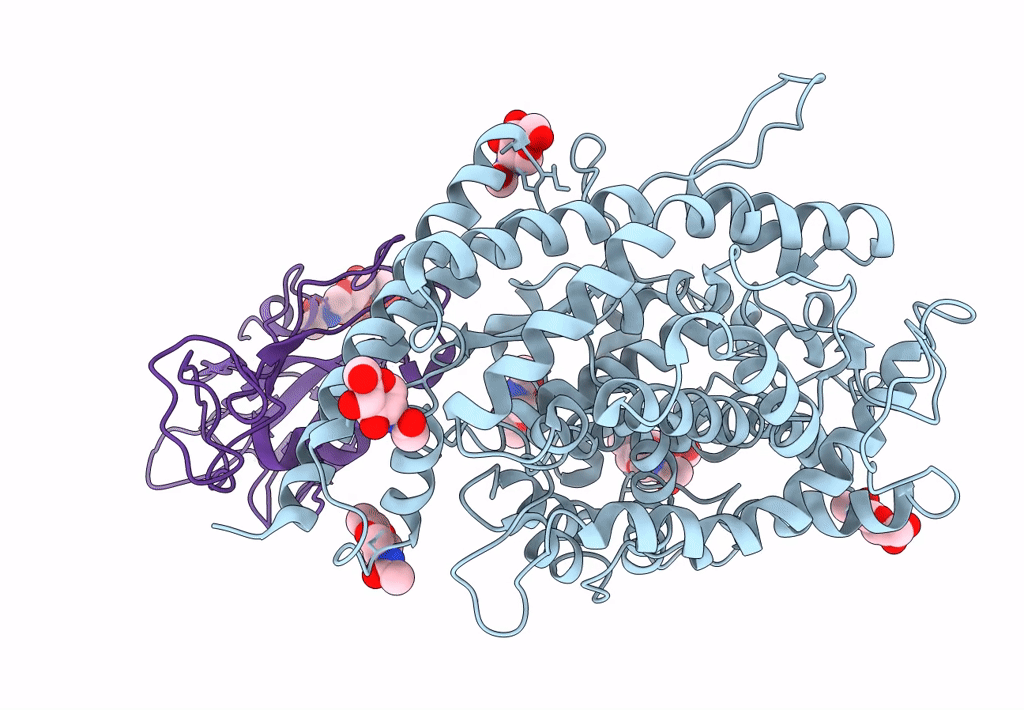 7KMB image