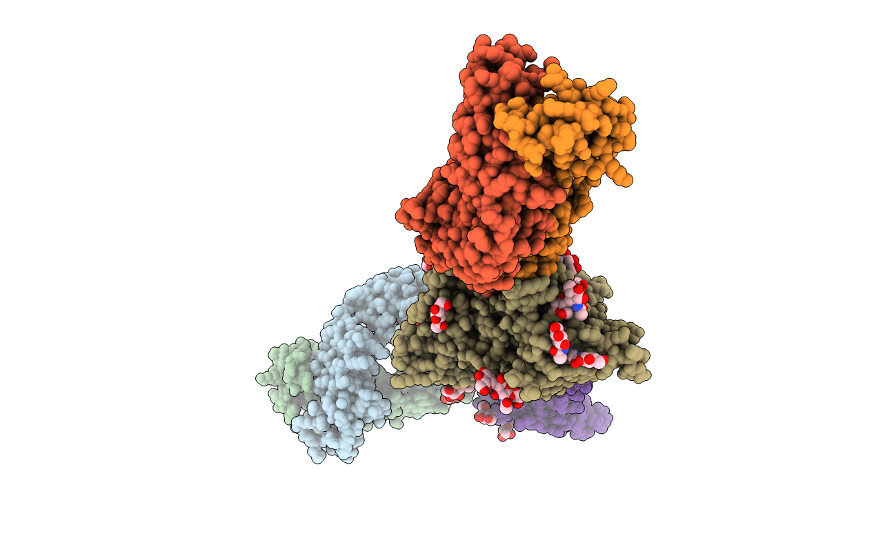 7KMD image