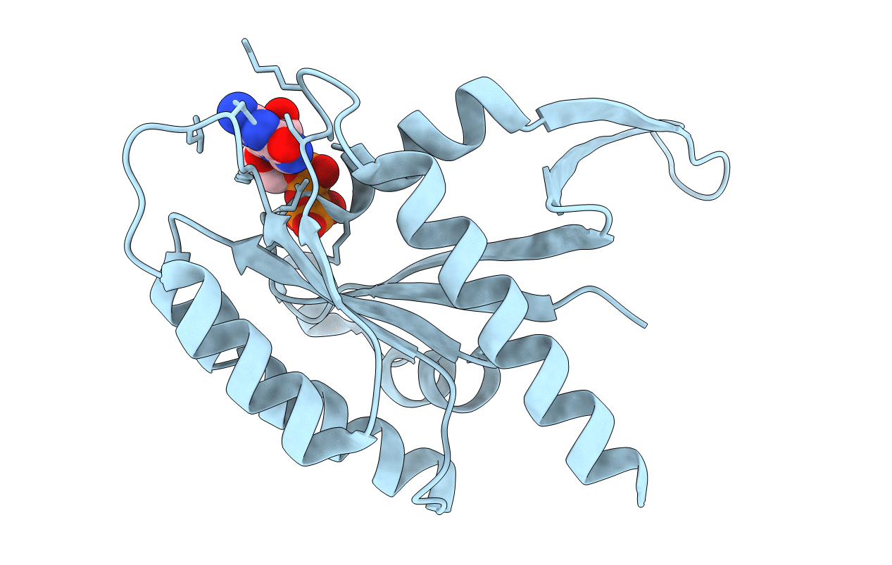 7KMR image
