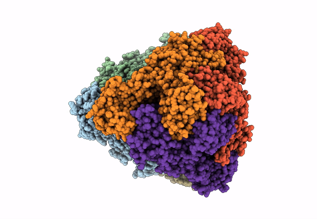 7KNS image