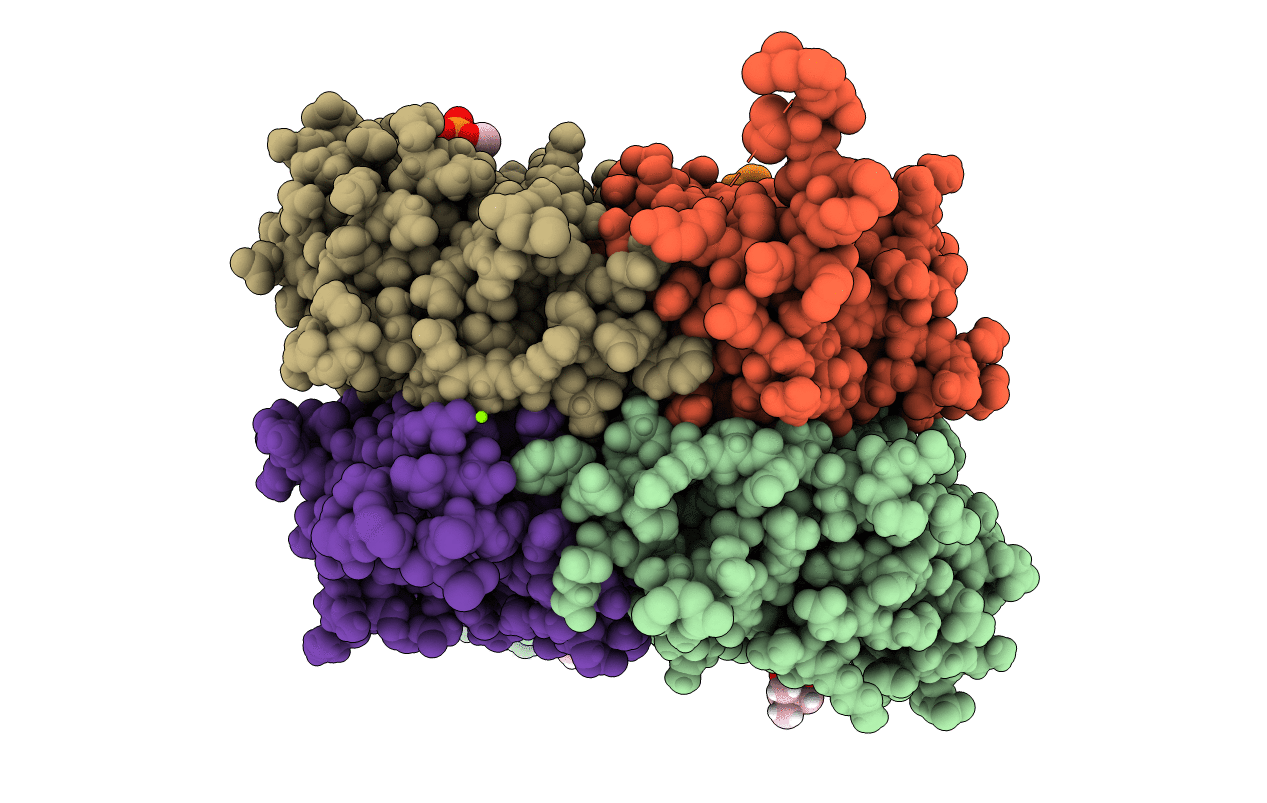 7KPF image