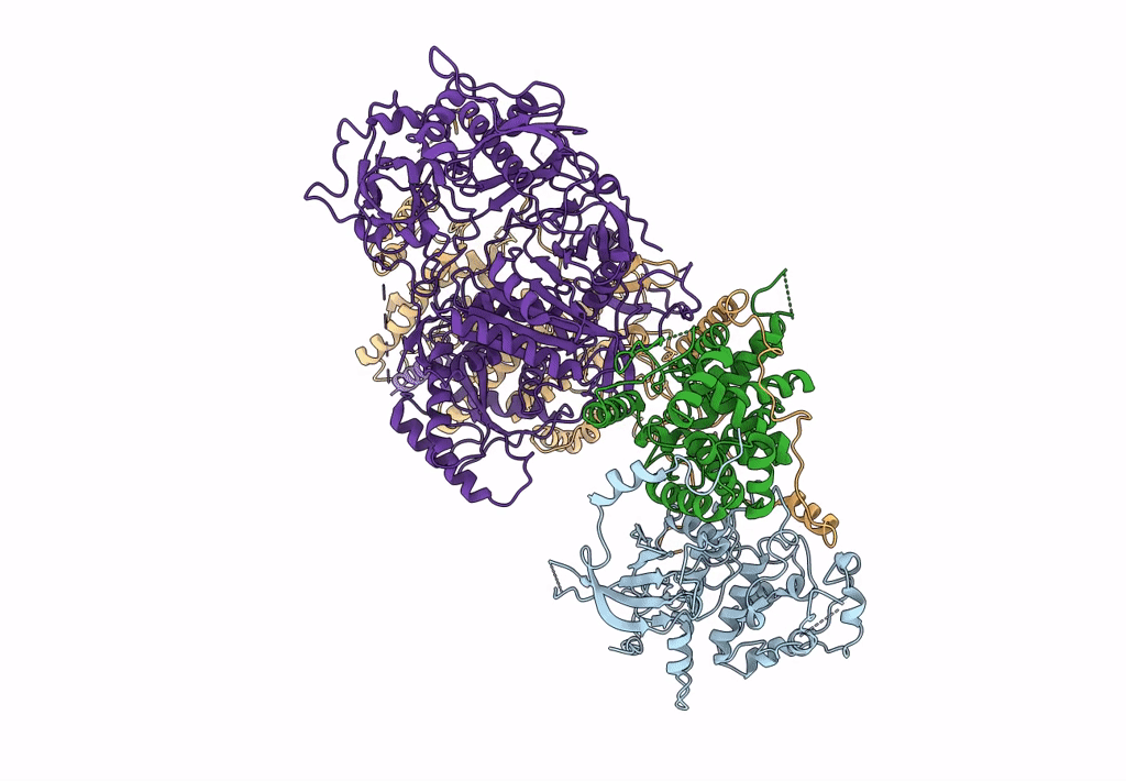 7KPV image
