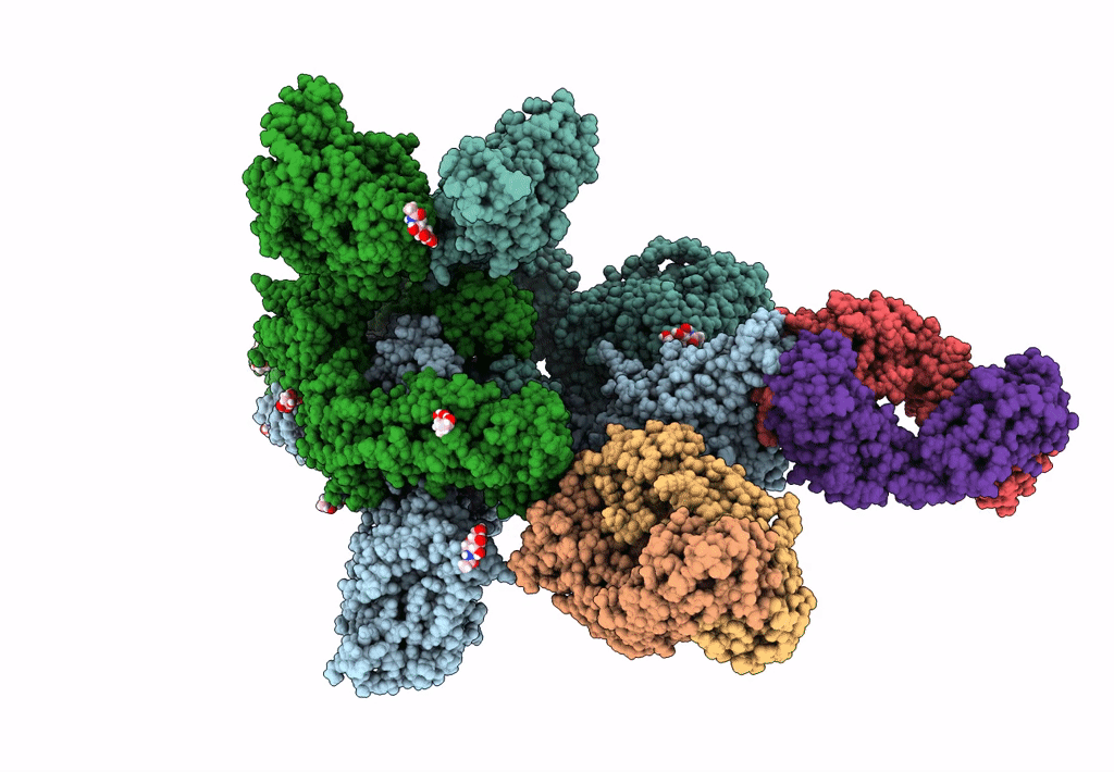 7KQB image