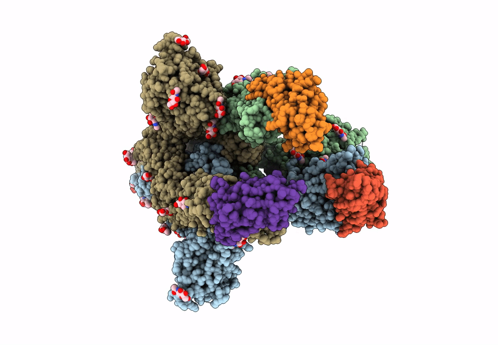 7KSG image