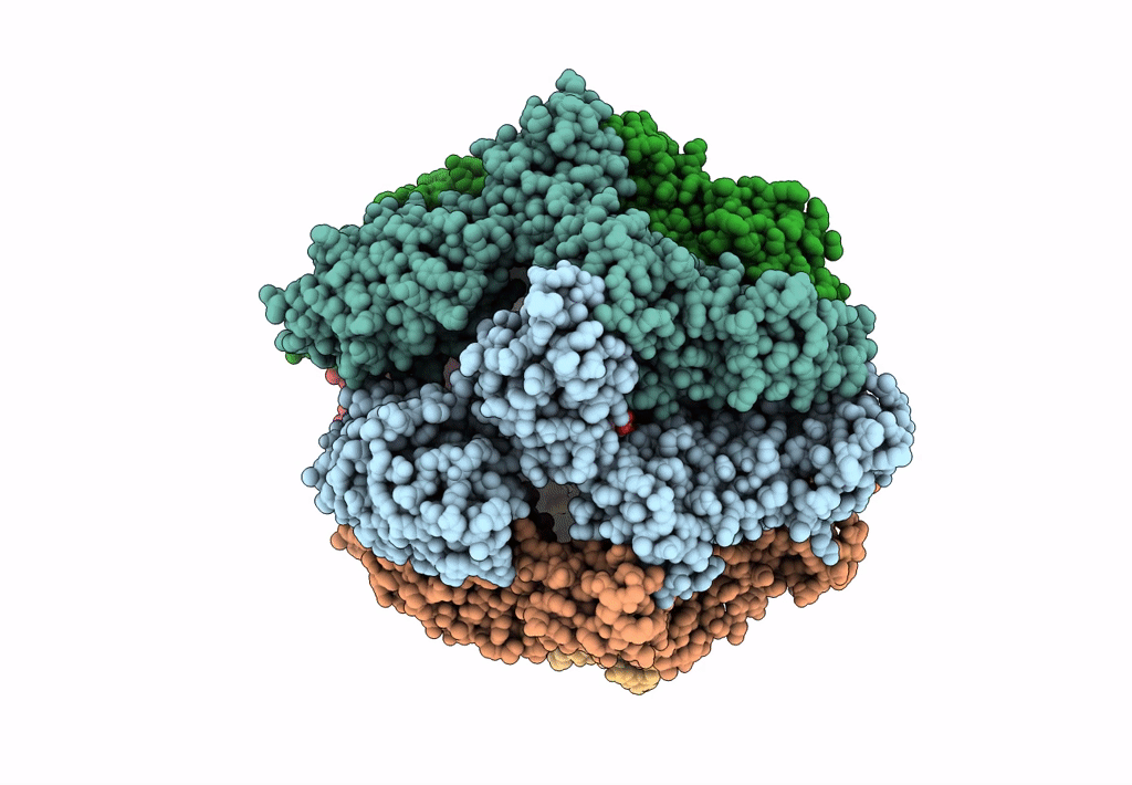 7KSM image