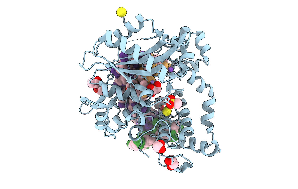 7KSV image
