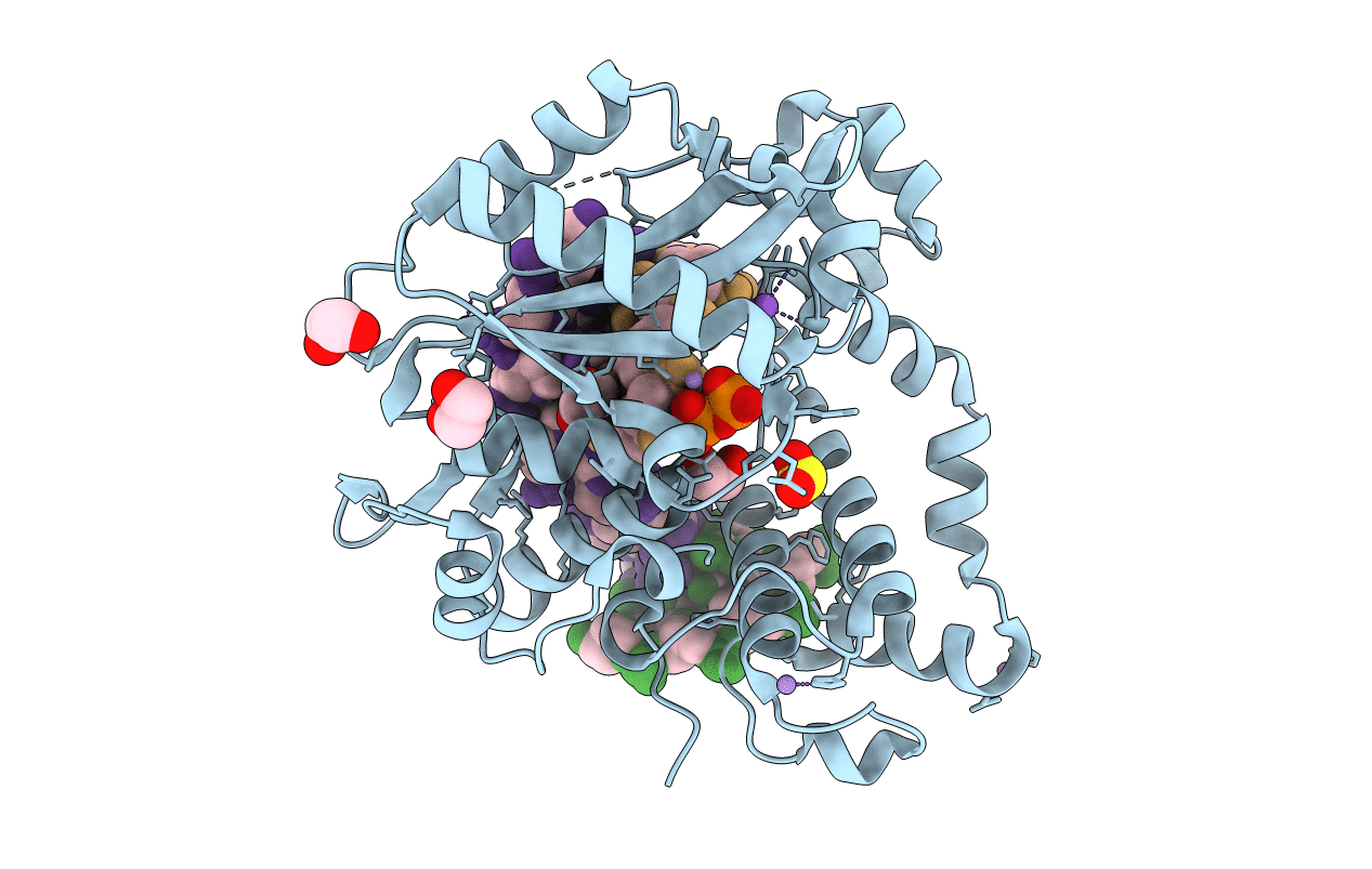7KTL image