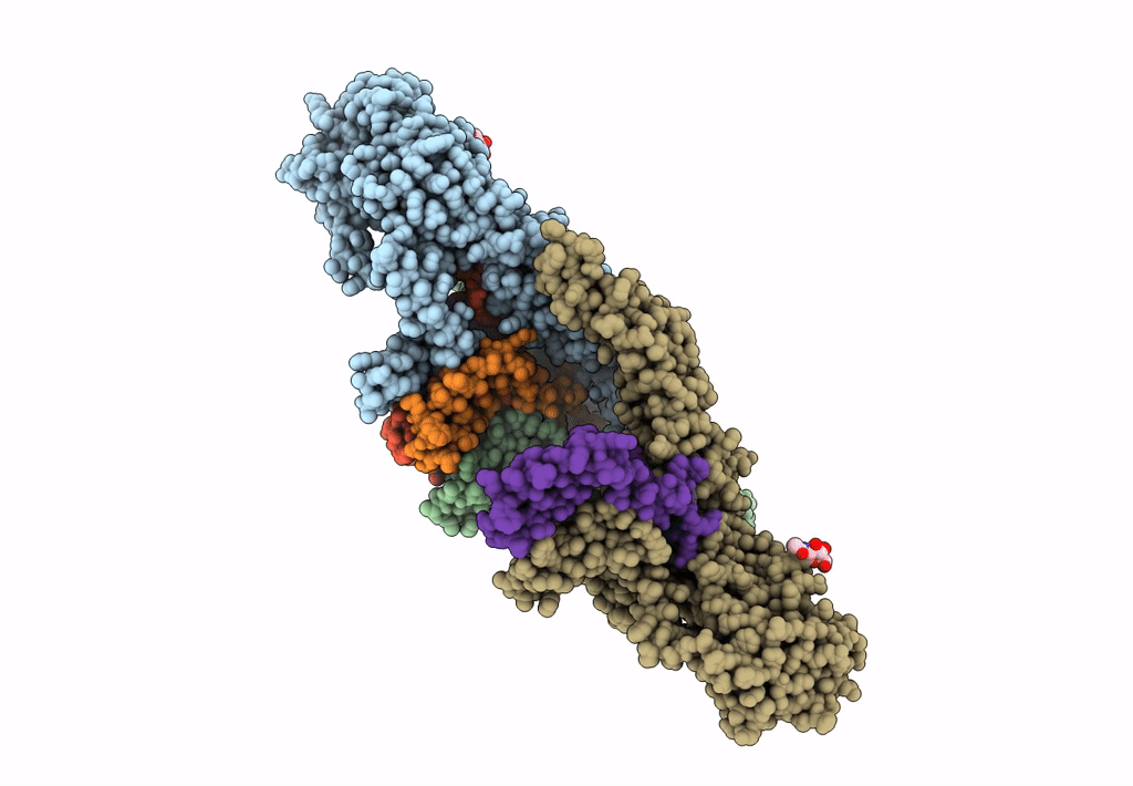 7KV9 image