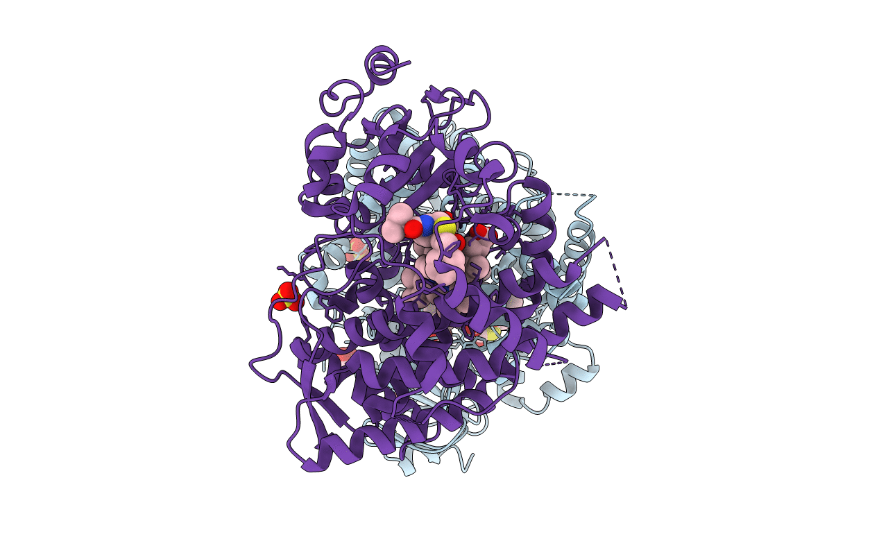 7KVK image