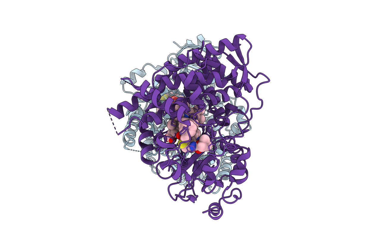 7KVN image