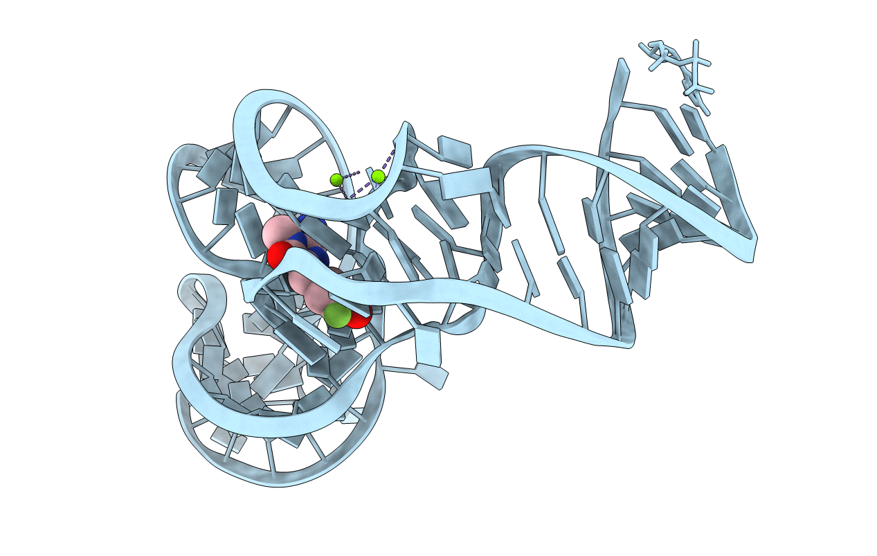 7KVV image