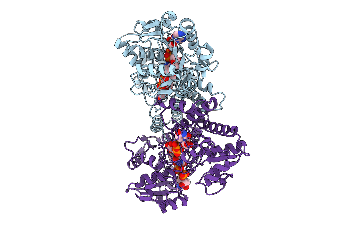 7KWS image