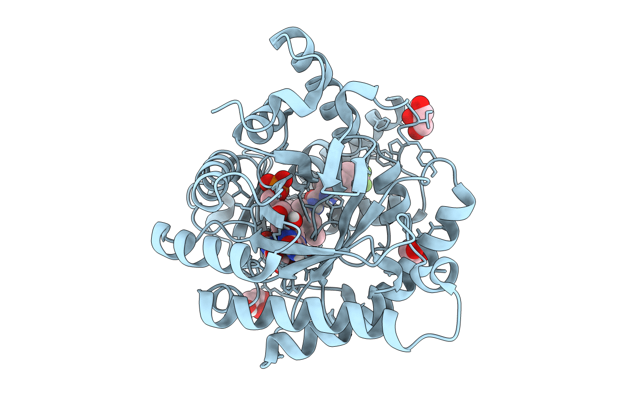 7KYV image