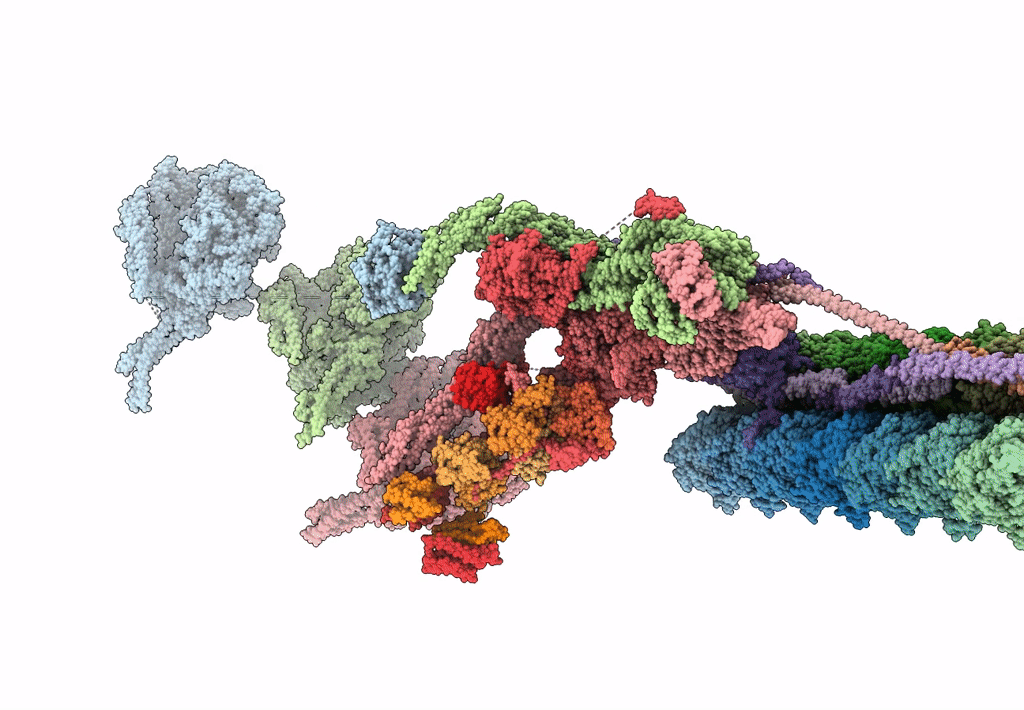 7KZM image