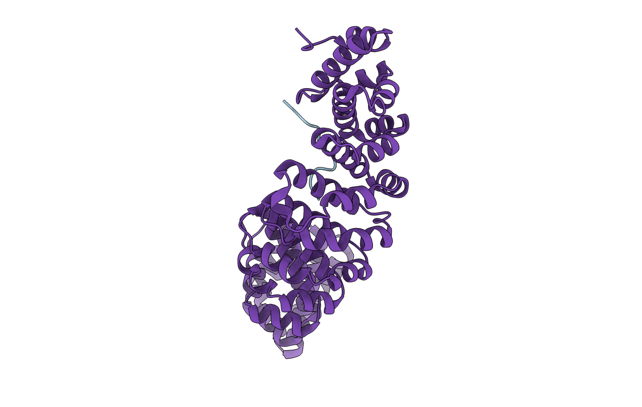 7L04 image