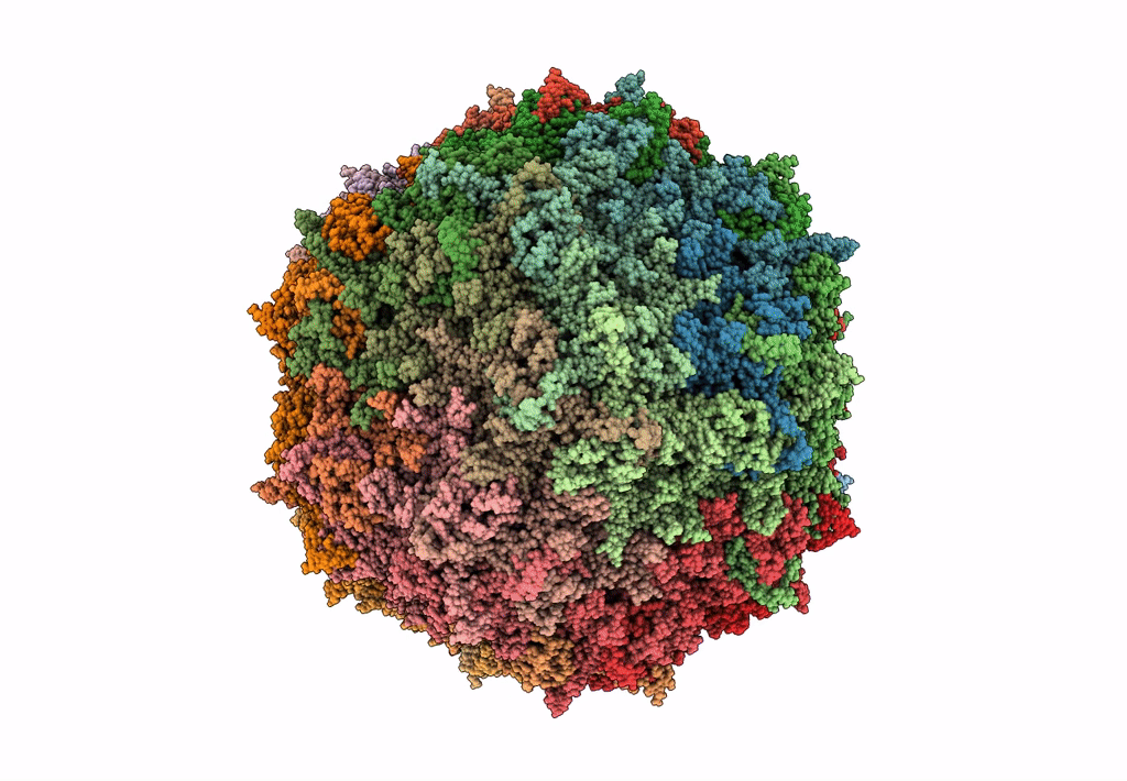 7L0X image