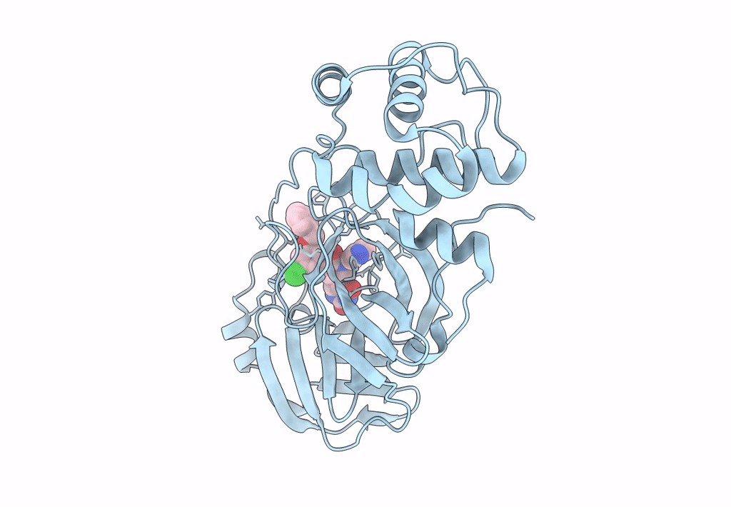 7L12 image