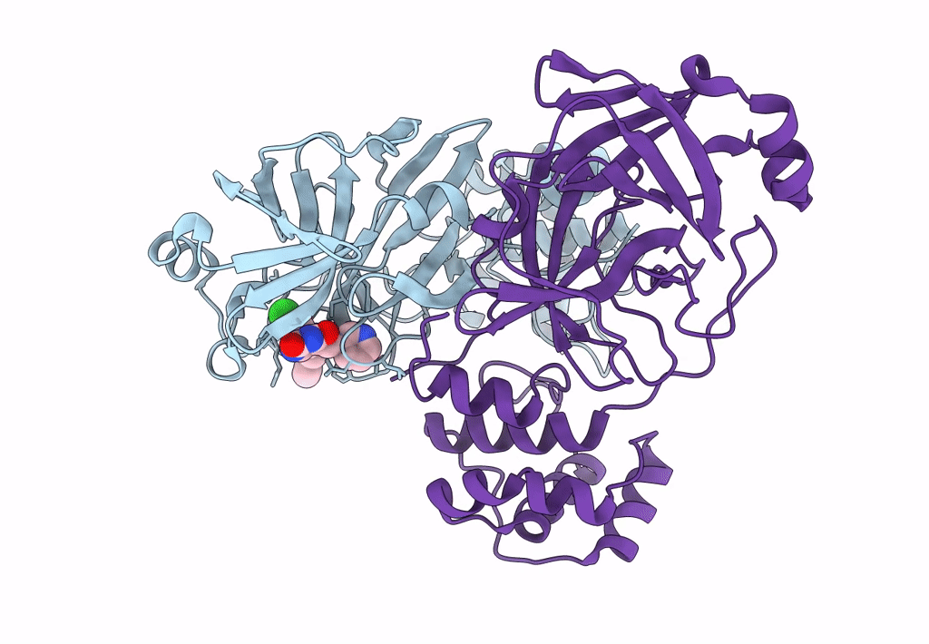 7L13 image