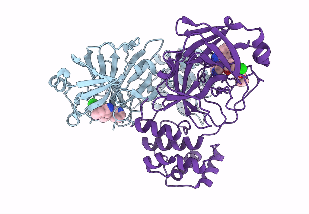7L14 image