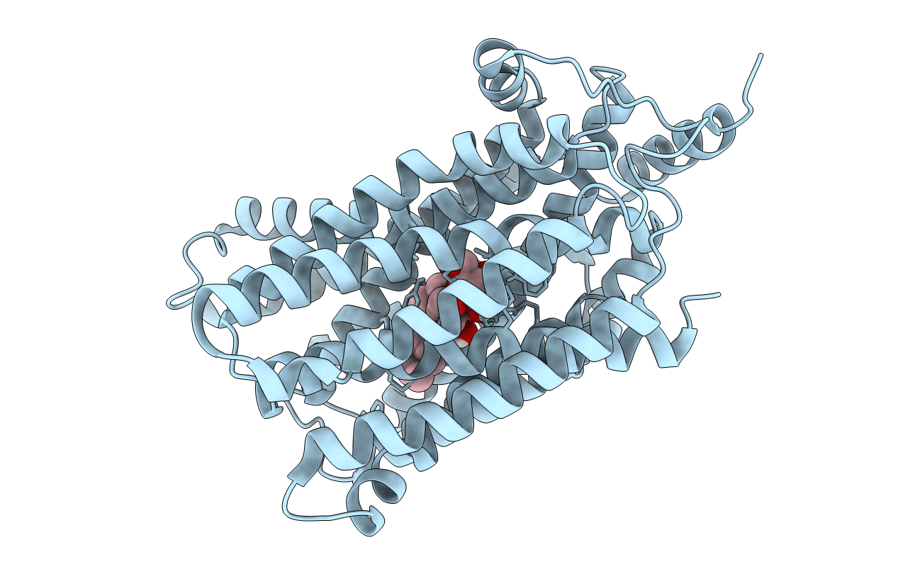 7L16 image