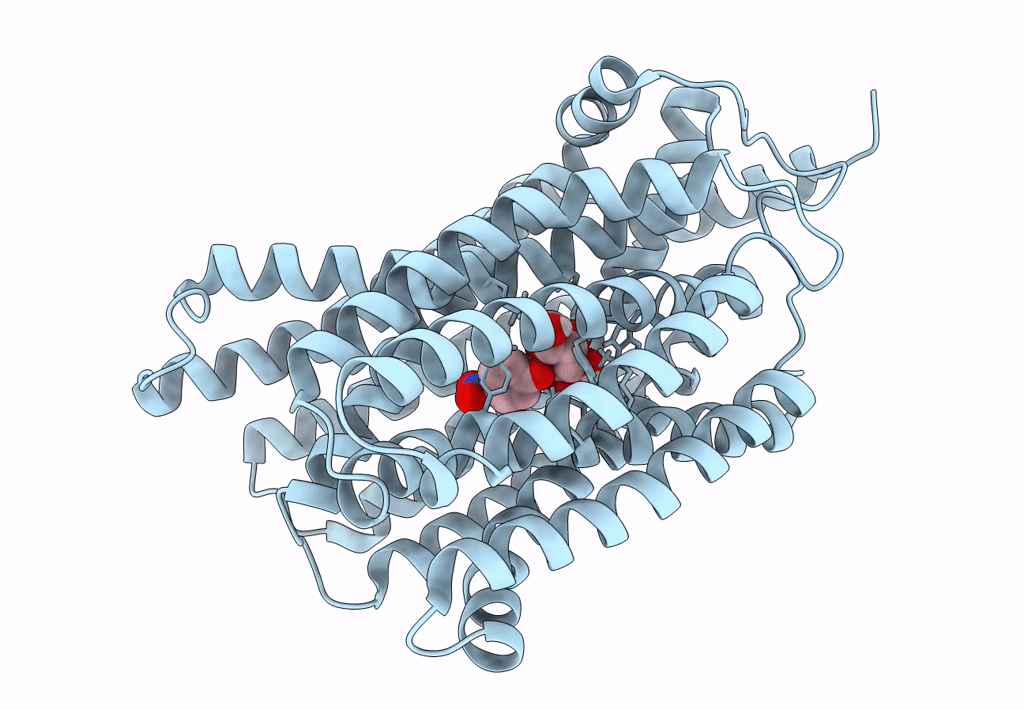 7L17 image