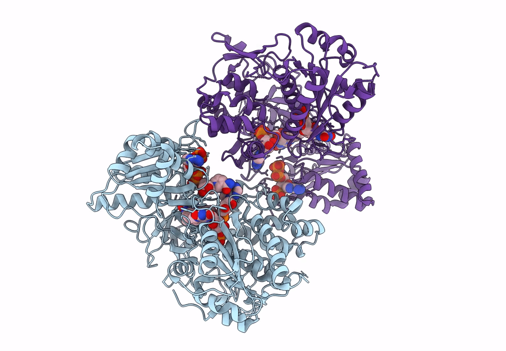 7L18 image