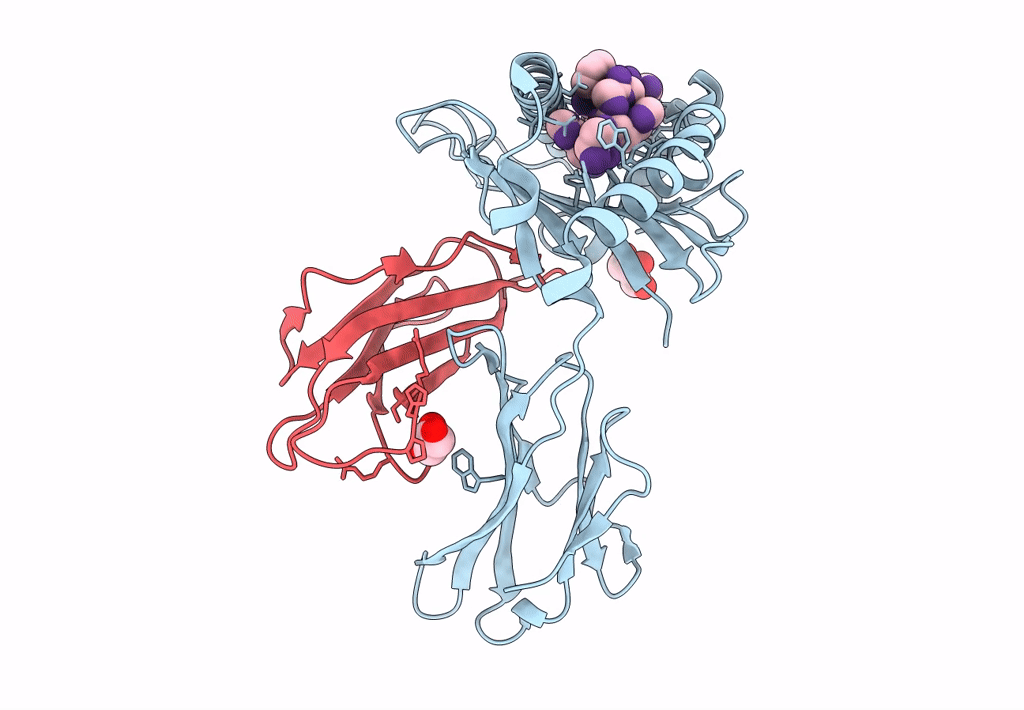 7L1B image