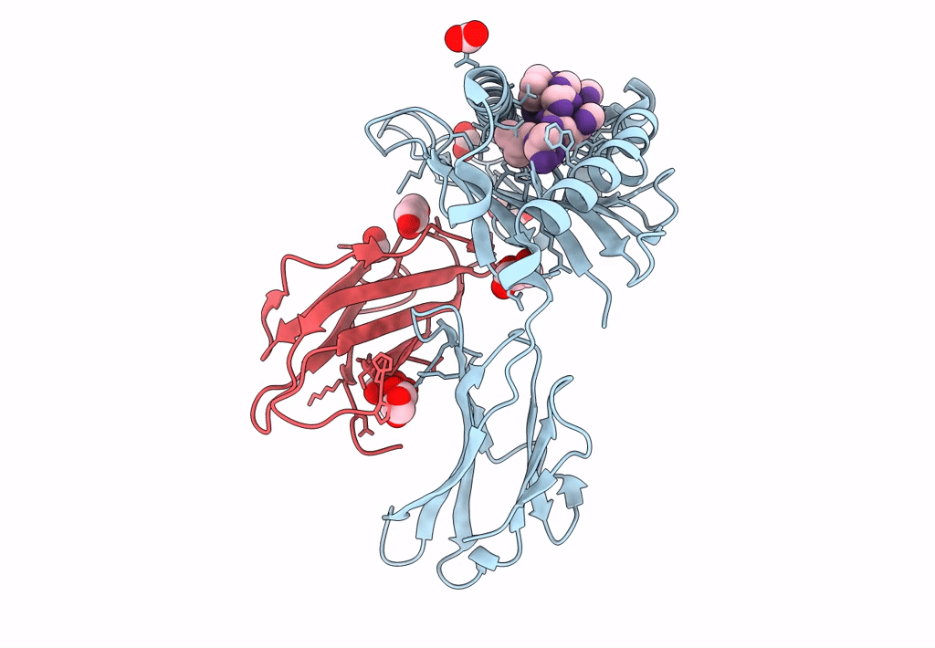 7L1C image