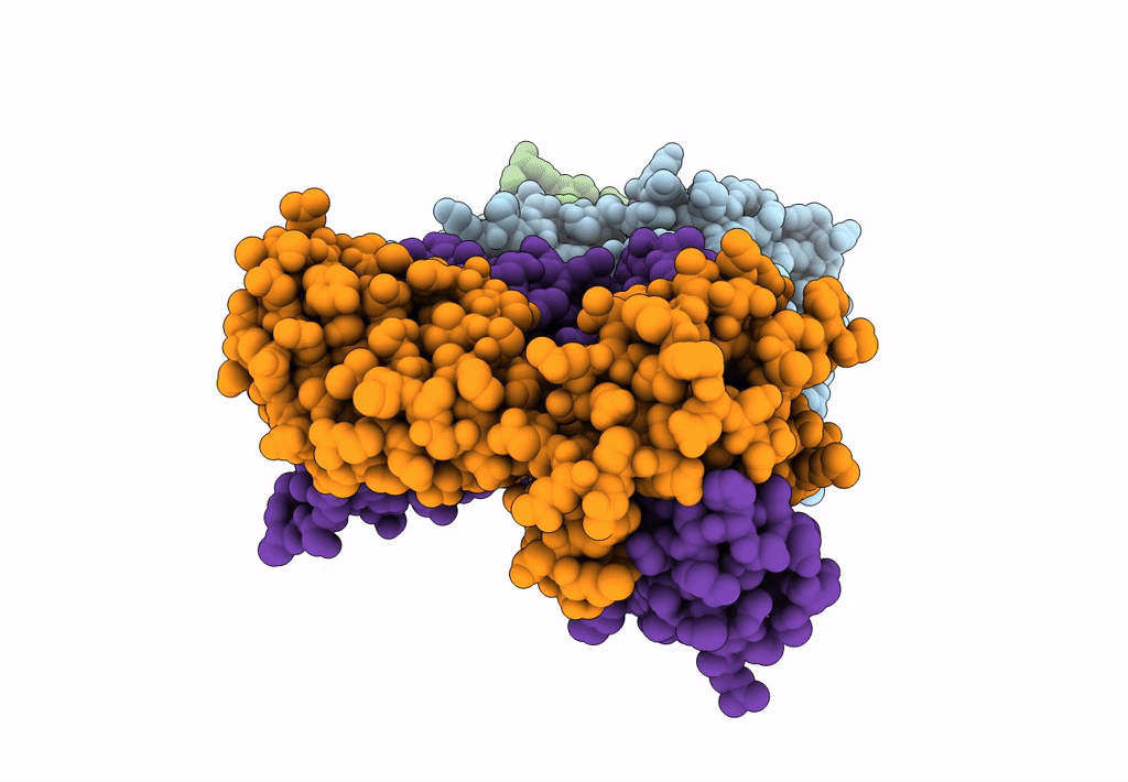 7L1D image
