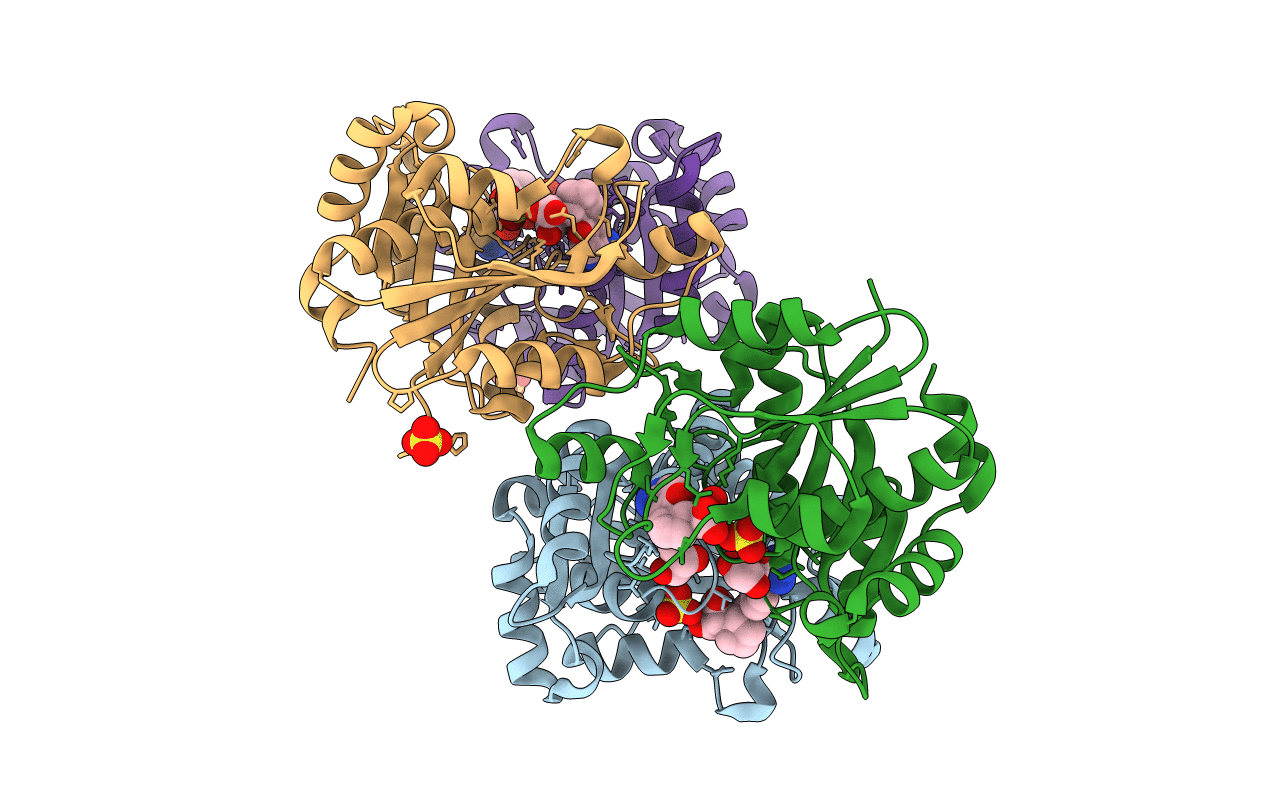7L1J image