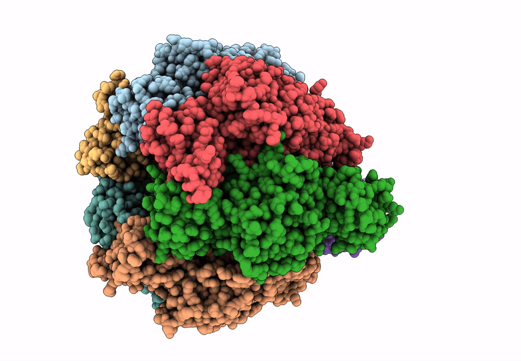7L1S image