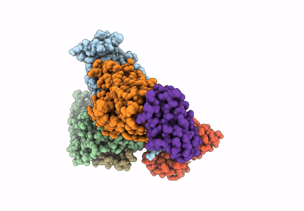 7L1V image