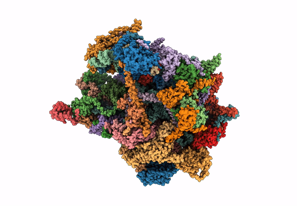 7L20 image