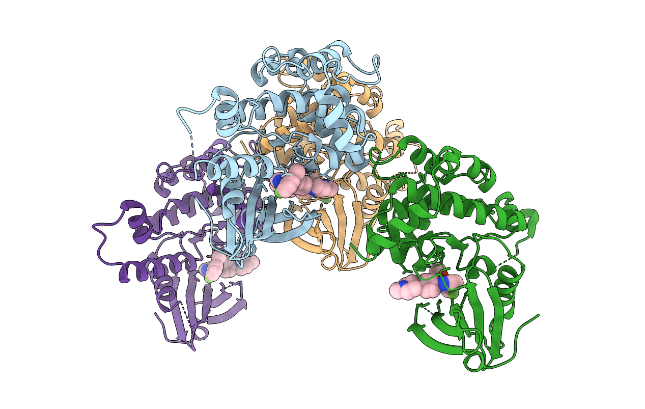 7L24 image