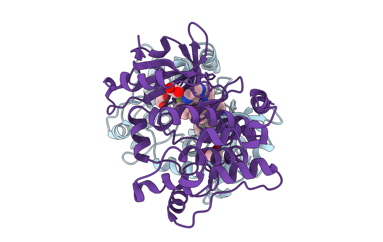 7L25 image