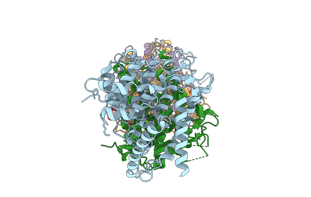7L27 image